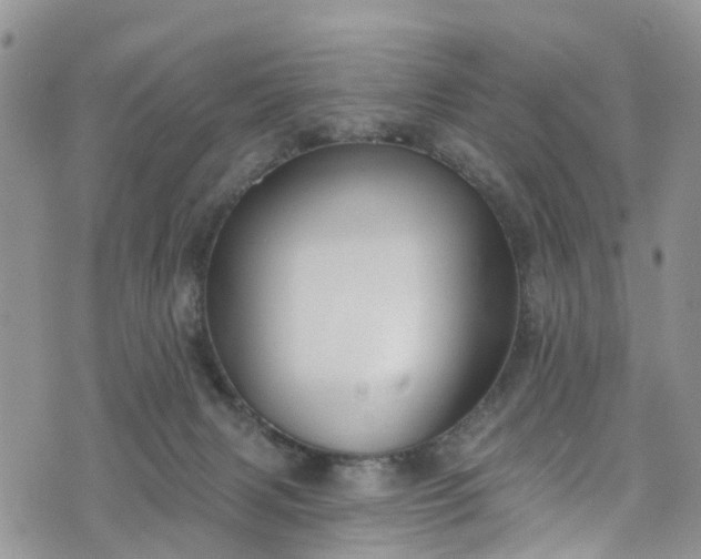 X0000076400079200610161216