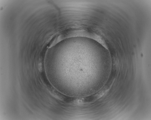 X0000076400080200610161216