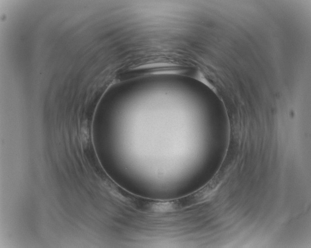 X0000076400085200610161216