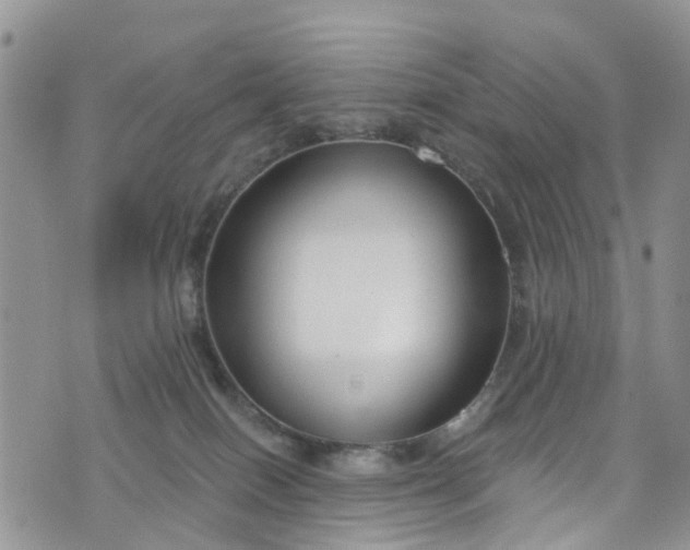 X0000076400086200610161216