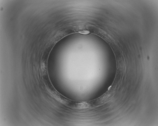 X0000076400087200610161216