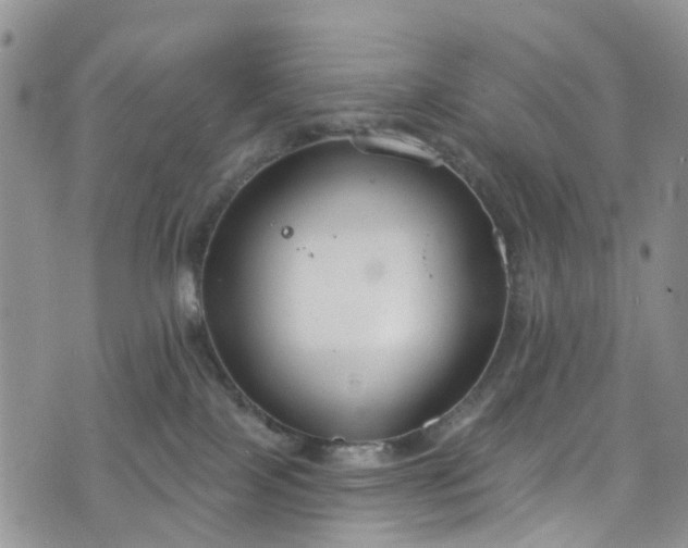 X0000076400089200610161216