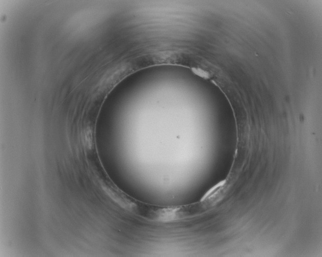 X0000076400090200610161216