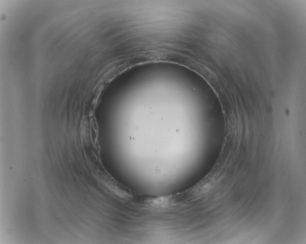 X0000076400092200610161216