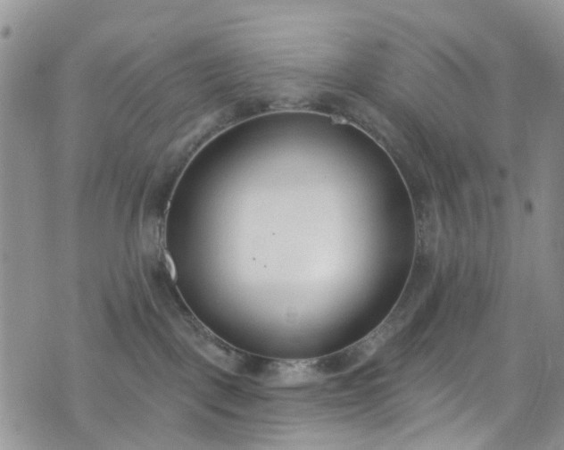 X0000076400093200610161216