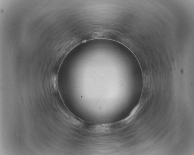 X0000076400094200610161216