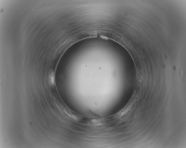 X0000076400095200610161216