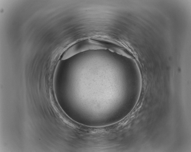 X0000076400097200610161215