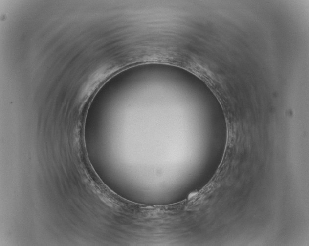 X0000076400098200610161215