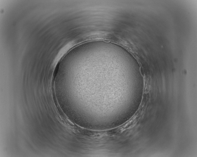 X0000076400099200610161215