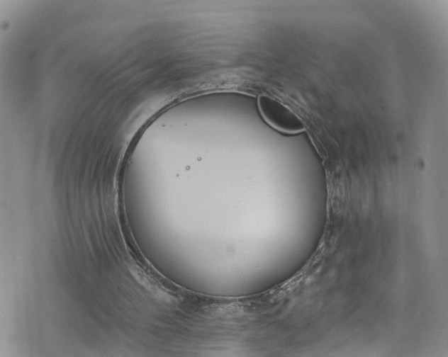 X0000076400100200610161215