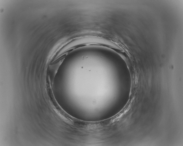 X0000076400101200610161215