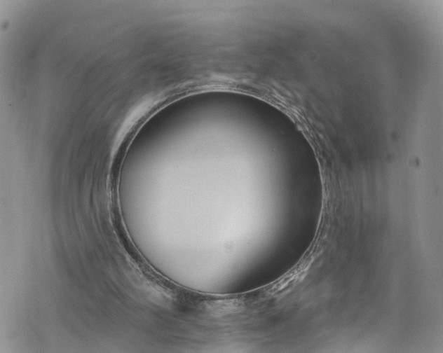 X0000076400102200610161215