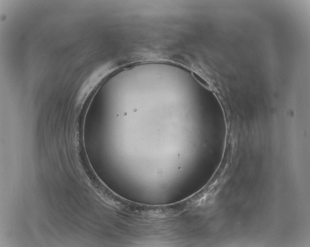 X0000076400103200610161215