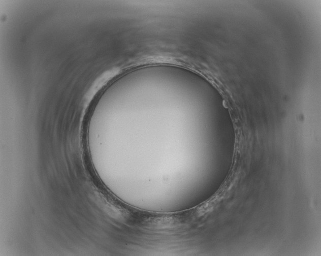 X0000076400104200610161215