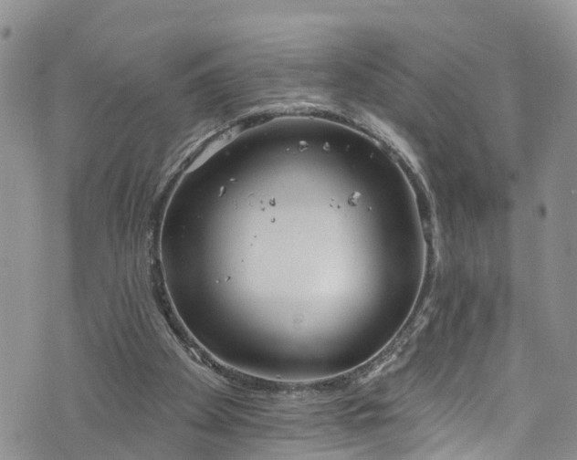 X0000076400105200610161215