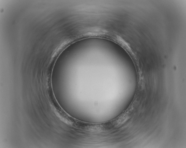 X0000076400106200610161215