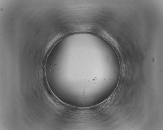 X0000076400107200610161215