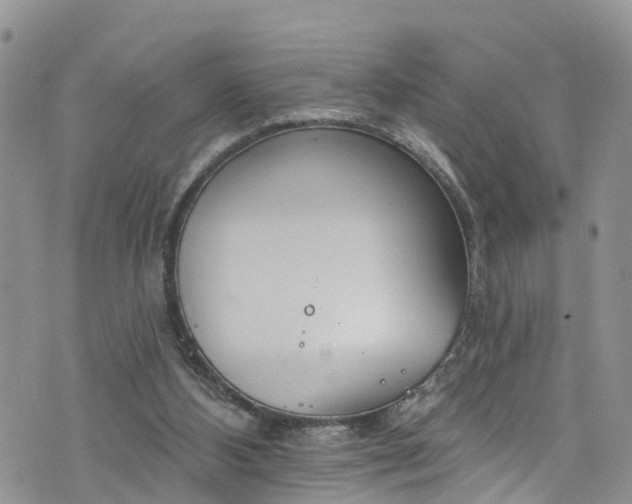 X0000076400108200610161215