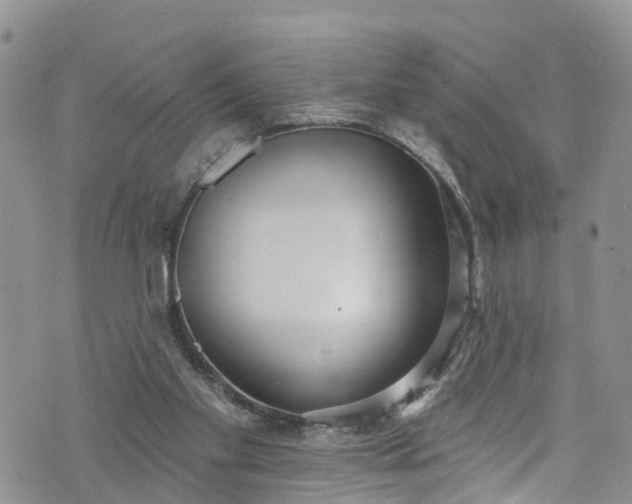 X0000076400109200610161215