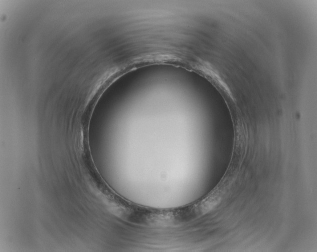 X0000076400110200610161215