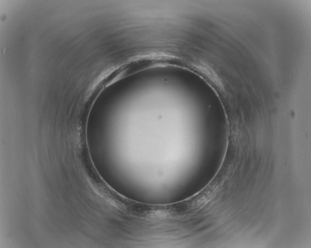 X0000076400111200610161215