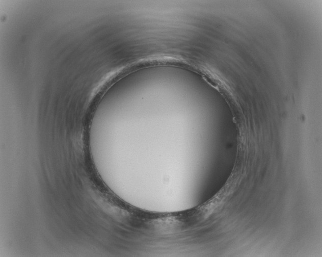 X0000076400112200610161215