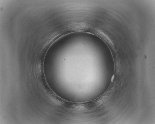 X0000076400113200610161215