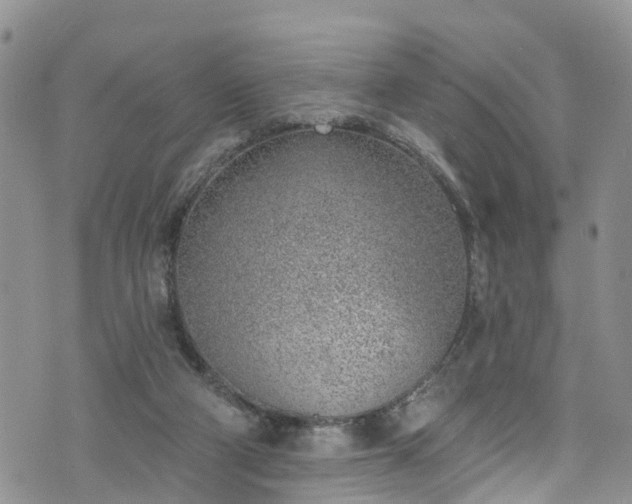 X0000076400114200610161215