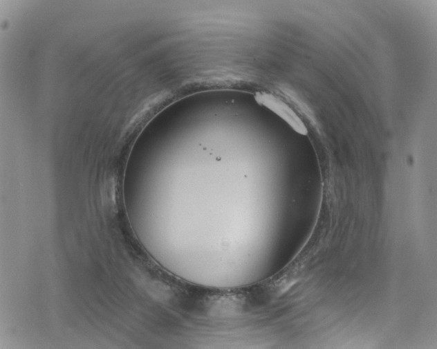 X0000076400115200610161215