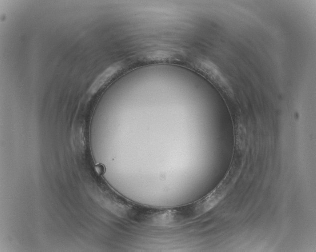 X0000076400116200610161215