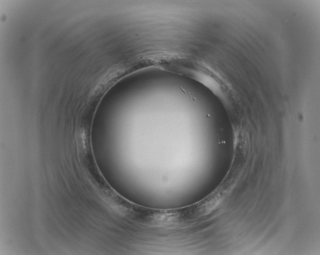 X0000076400117200610161215