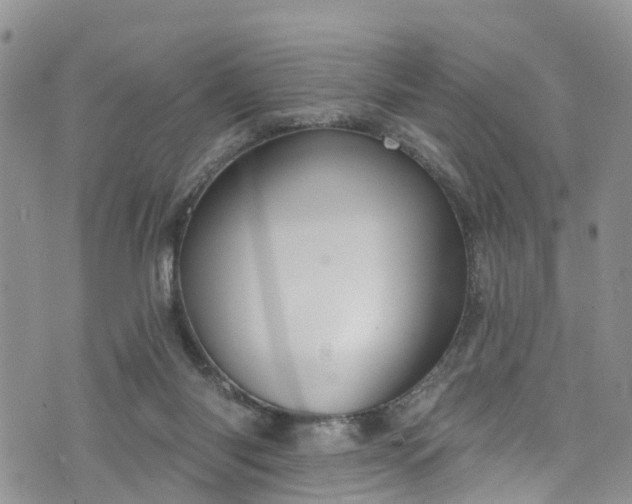 X0000076400118200610161215