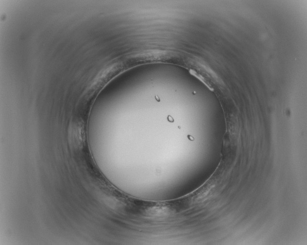 X0000076400119200610161215