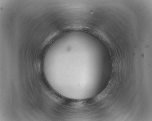 X0000076400120200610161215