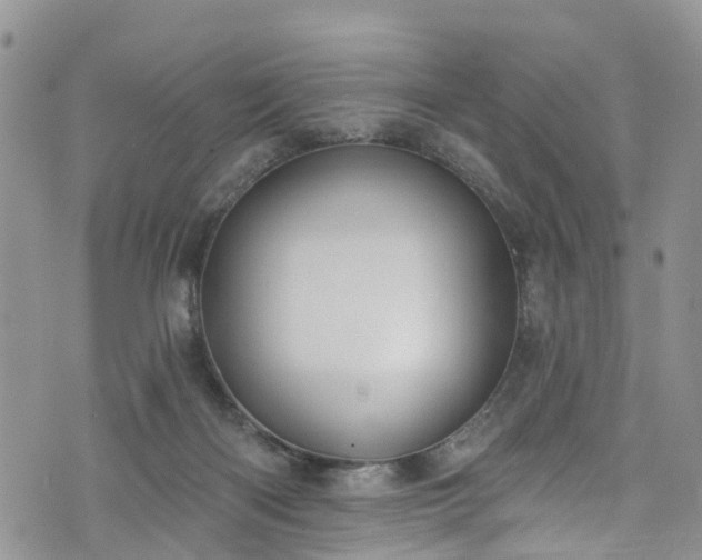 X0000076400122200610161215