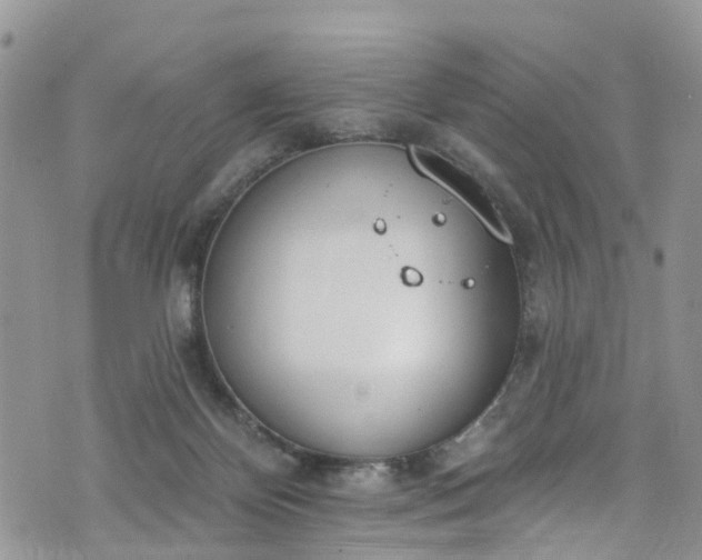 X0000076400124200610161215