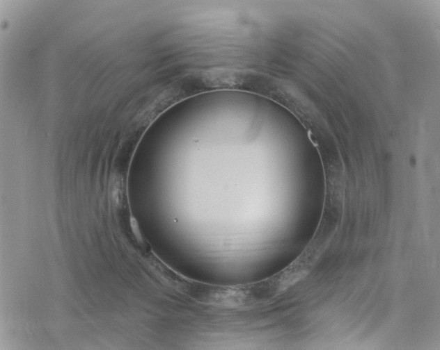 X0000076400125200610161215