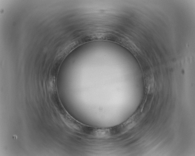 X0000076400126200610161215