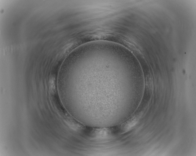 X0000076400127200610161215