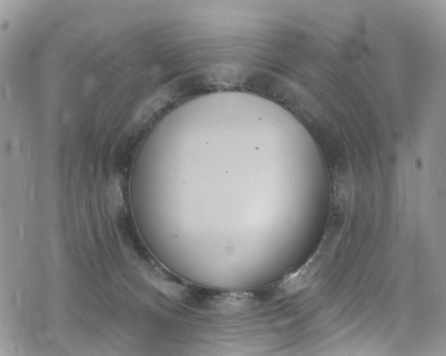 X0000076400128200610161215