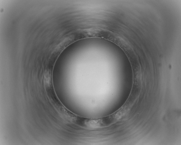 X0000076400129200610161215