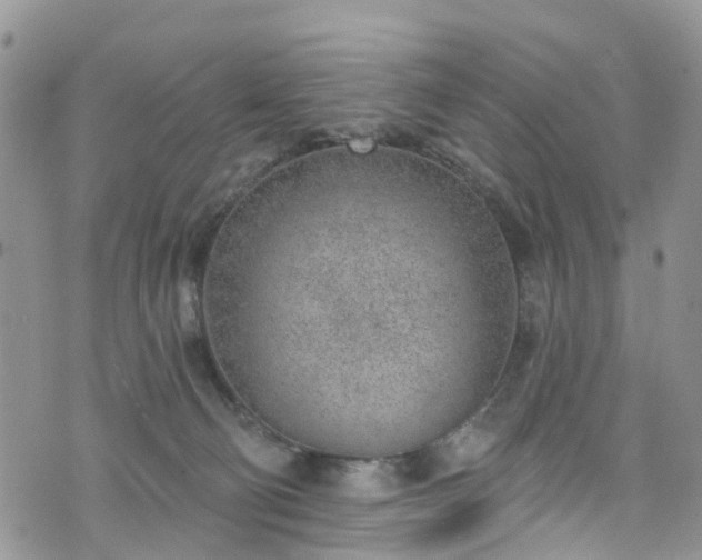 X0000076400130200610161214