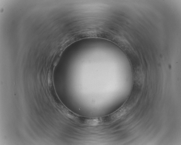 X0000076400131200610161214