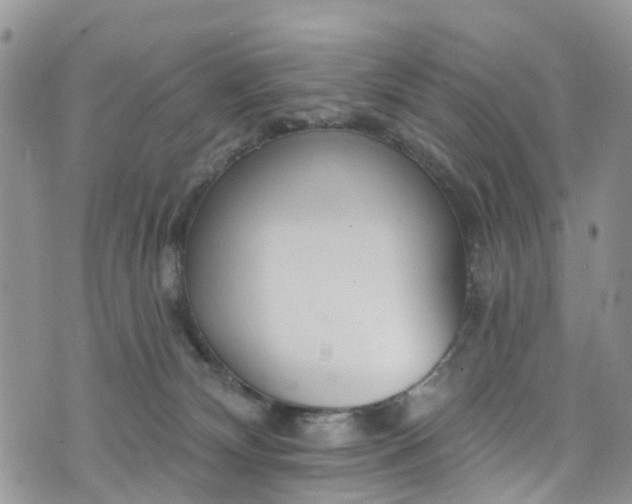 X0000076400132200610161214