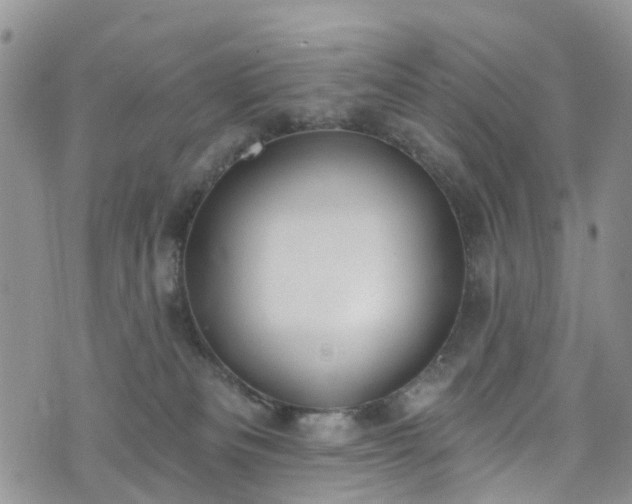 X0000076400133200610161214