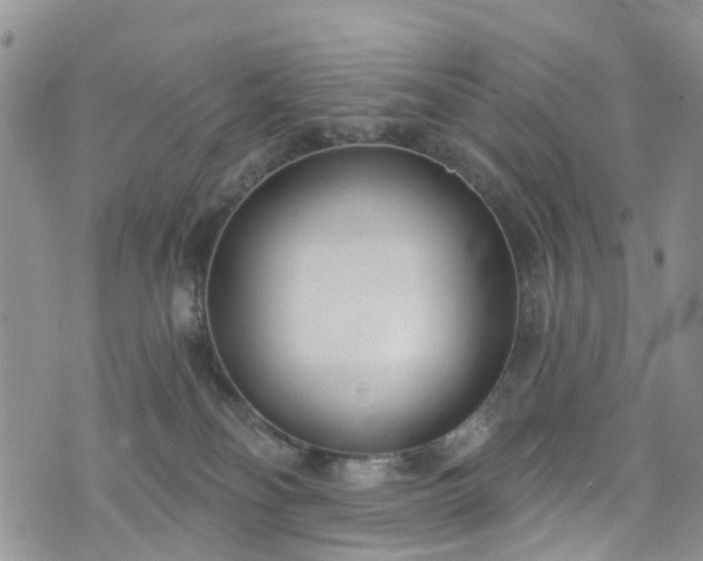 X0000076400134200610161214