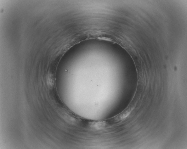 X0000076400135200610161214