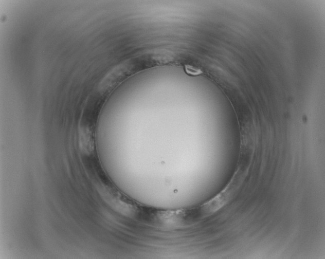 X0000076400136200610161214