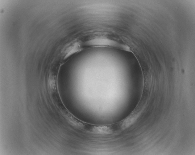 X0000076400137200610161214